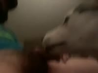 Dog giving blowjob to his bestfriend